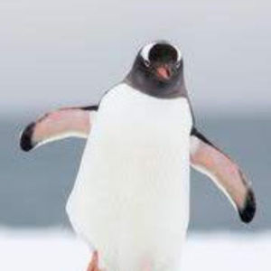 Meet your Posher, Shivani